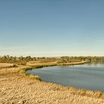 Vandalia Reservoir, Milk River, Vandalia, MT 