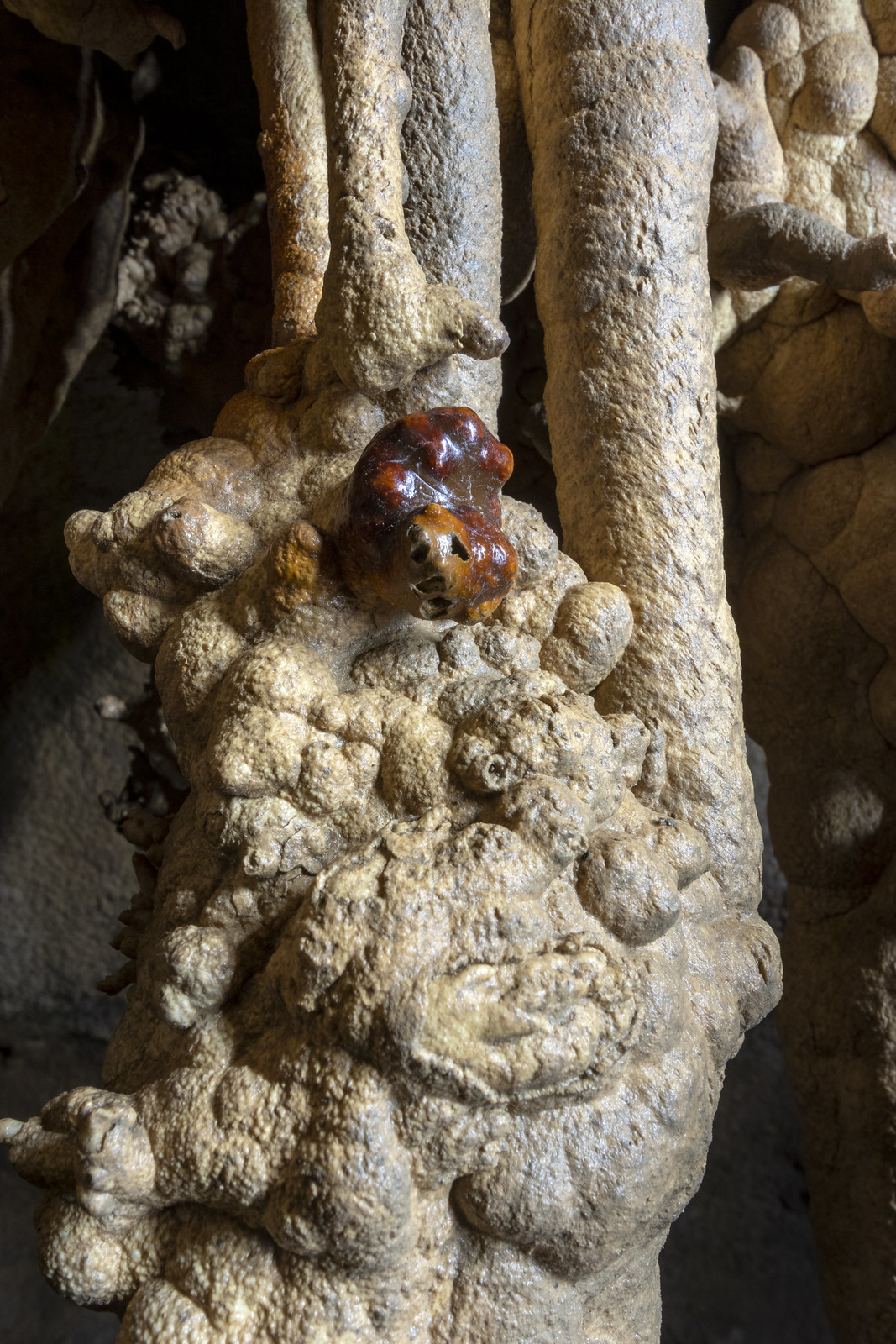 Helictites, Fern Cave, Jackson County, Alabama 4