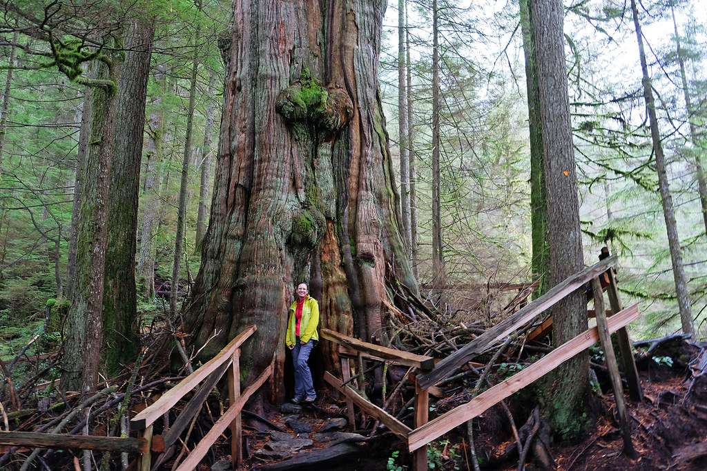 Cedar Tree Trail, West Vancouver