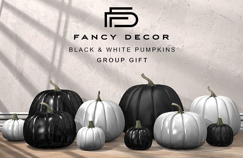 Black & White Pumpkins Group Gift