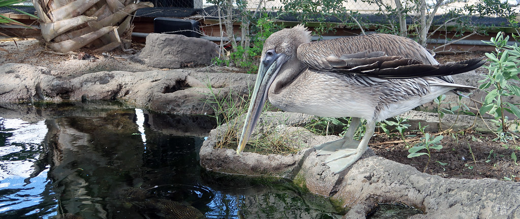 South Carolina Aquarium