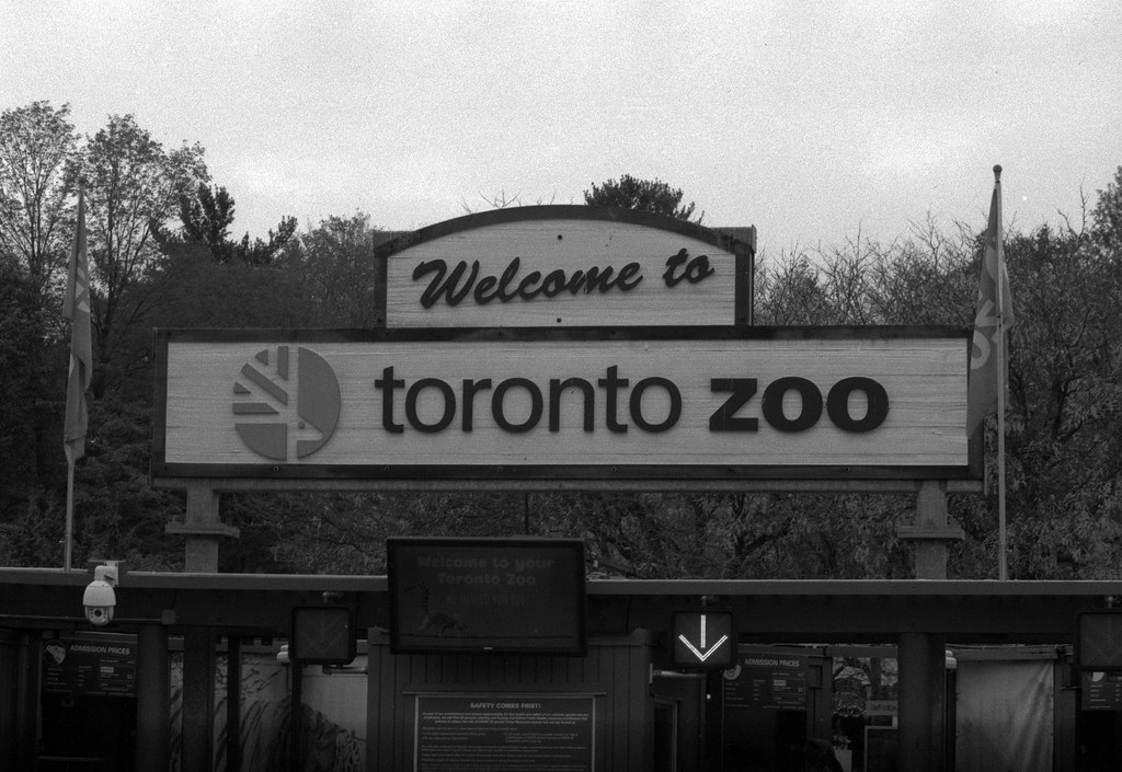 Foma:52 - Week 41 - If I Left The Zoo