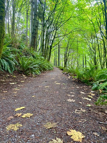 Llandover Woods loop trail