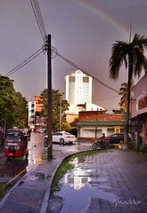 Colombo after the Rain
