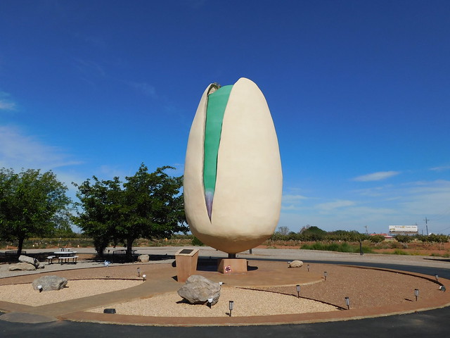 World's Largest Pistachio