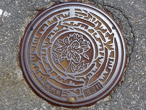 Namiai Nagano, manhole cover （長野県浪合村のマンホール