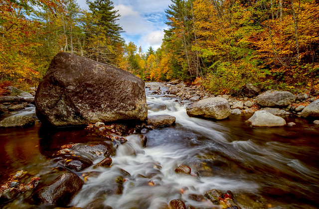 An Autumn Adirondack Stream