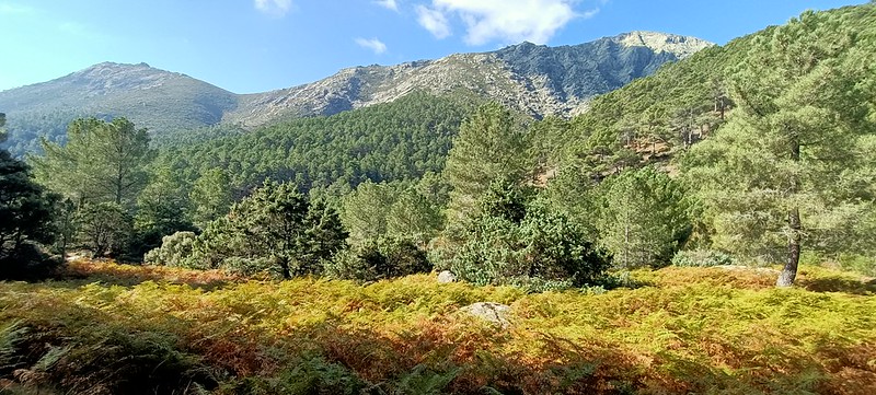 CARRIL DE LOS GALAYOS, GREDOS (AVILA). NOGAL DEL BARRANCO A REFUGIO VICTORY. - Senderismo por España. Mis rutas favoritas: emblemáticas, paseos y caminatas (23)