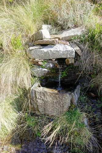 CARRIL DE LOS GALAYOS, GREDOS (AVILA). NOGAL DEL BARRANCO A REFUGIO VICTORY. - Senderismo por España. Mis rutas favoritas: emblemáticas, paseos y caminatas (33)