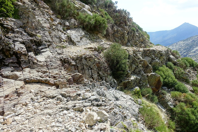 CARRIL DE LOS GALAYOS, GREDOS (AVILA). NOGAL DEL BARRANCO A REFUGIO VICTORY. - Senderismo por España. Mis rutas favoritas: emblemáticas, paseos y caminatas (43)