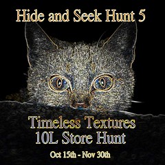 Hide and Seek Hunt 5 a Timeless Textures 10L Store Hunt