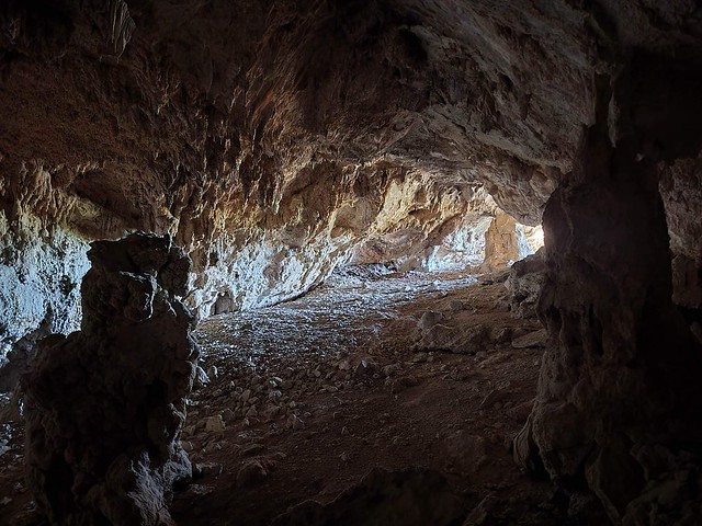 Shroom Room Cave