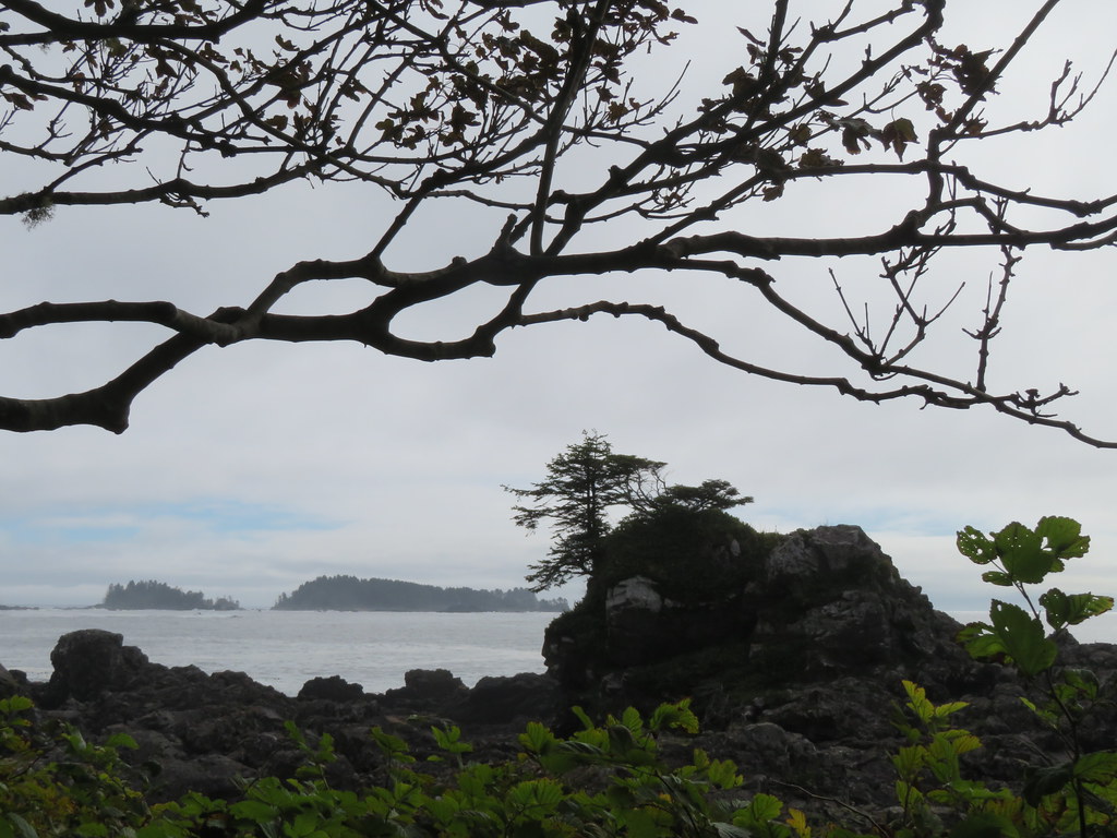 The Rugged coast line of Ucluelet  taken on the  West Coast Traill