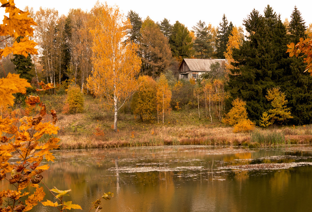 Autumn landscape_Abramtsevo