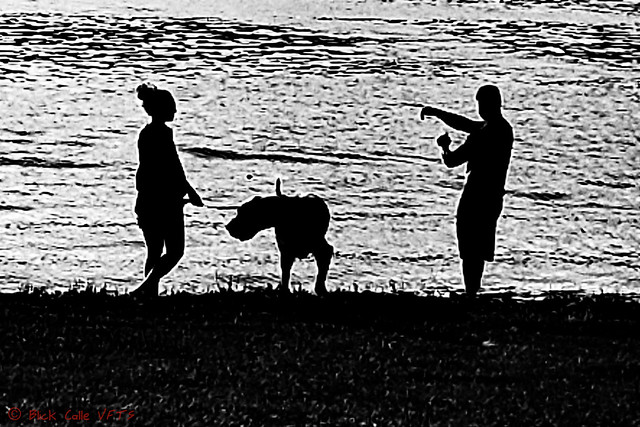 Silhouette - Couple & Dog