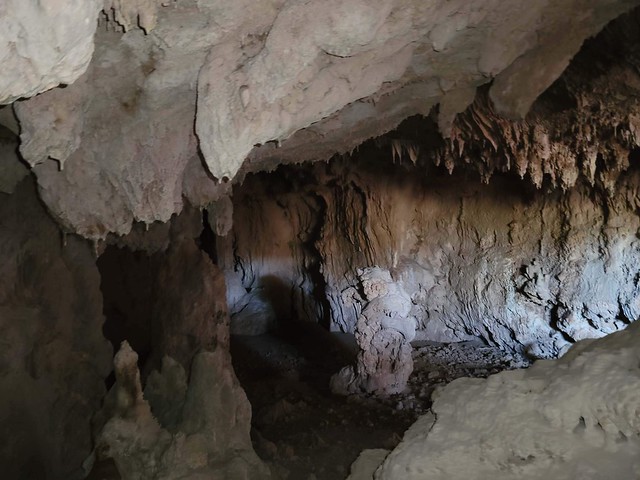 Shroom Room Cave