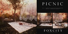 FOXCITY. Photo Booth - Picnic