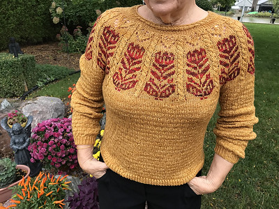 Connie (knitnut246) finished her stunning Misurina by Caitlin Hunter.