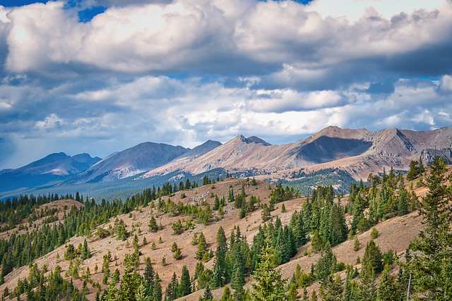 Looking North From Cottonwood Pass, Colorado