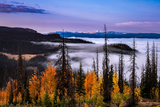 Valley Fog and Autumn Glory