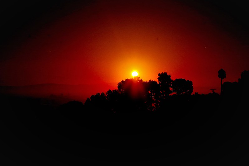 L.A. Morning Sunrise