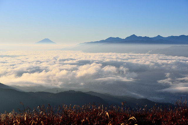 Mt.Fuji and sea of clouds from Taka-bocchi