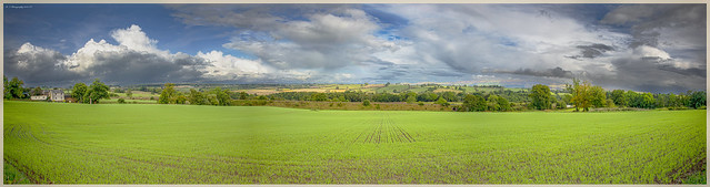 Farmland_Panorama