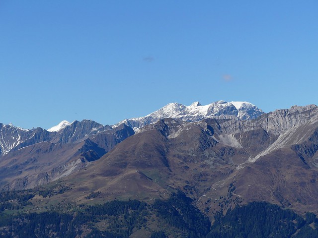 Hirzer, Südtirol