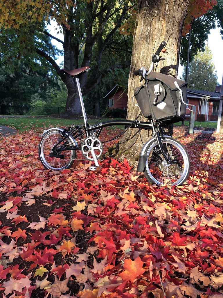 Joining the Cult of Brompton