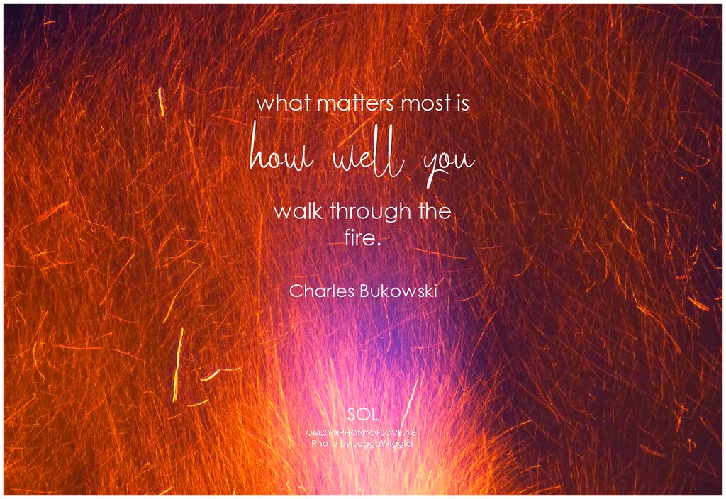 Charles Bukowski what matters most is how well you walk th… | Flickr