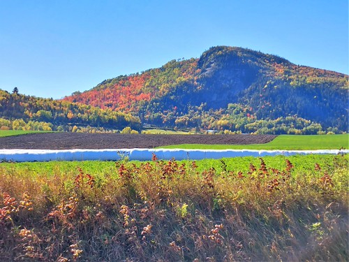 5. petit-saguenay (12)