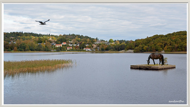 Around the lake Stensjön (6)