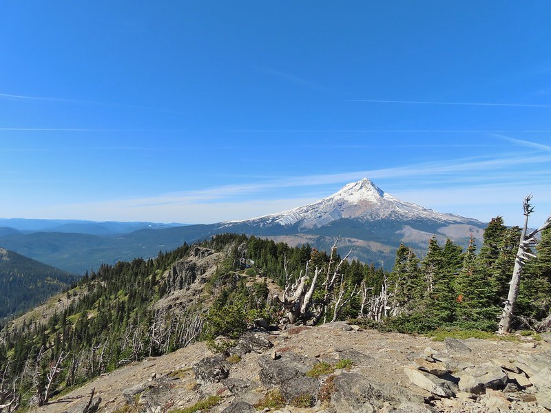 Mt. Hood from Lookout Mountain