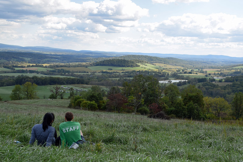 Two people sitting in the grass, viewed from behind as they survey a scenic vista of green rolling hills and pastures below a blue sky with fluffy white clouds.