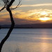 Sunsets, Lake Macquarie