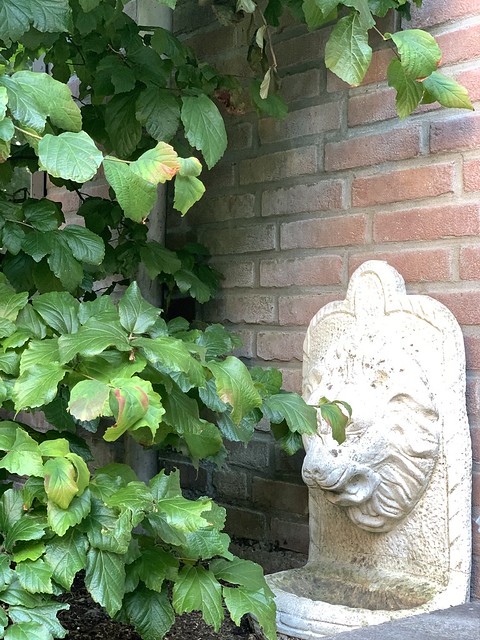 Leeuwenkop fonteintje strakke tuin