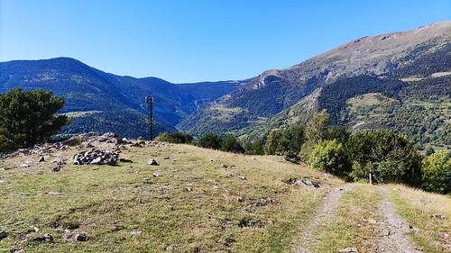 IMG_20211012_140616