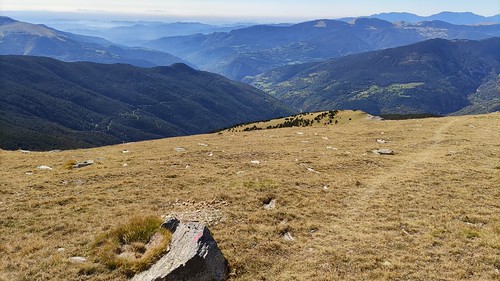 IMG_20211012_125636