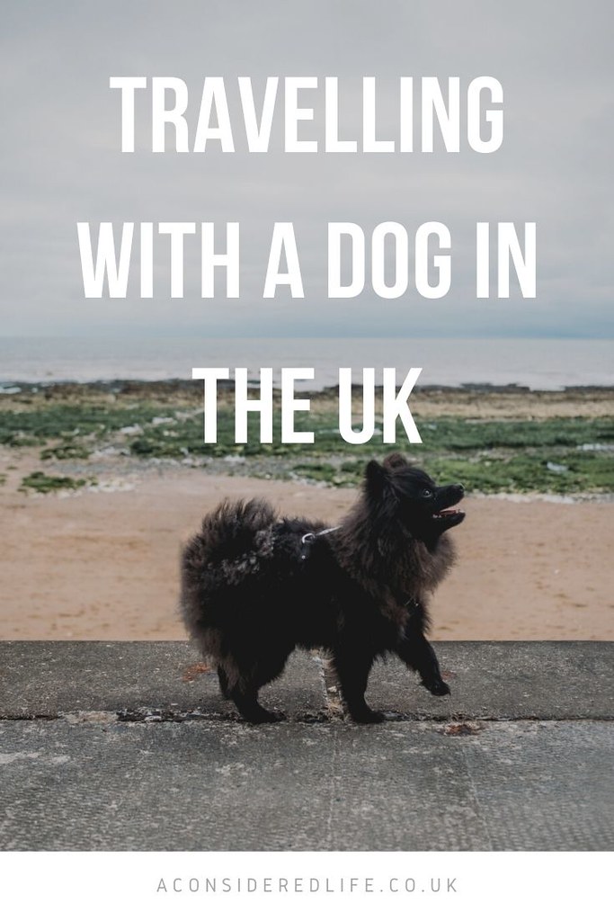 Travelling With A Dog In The UK