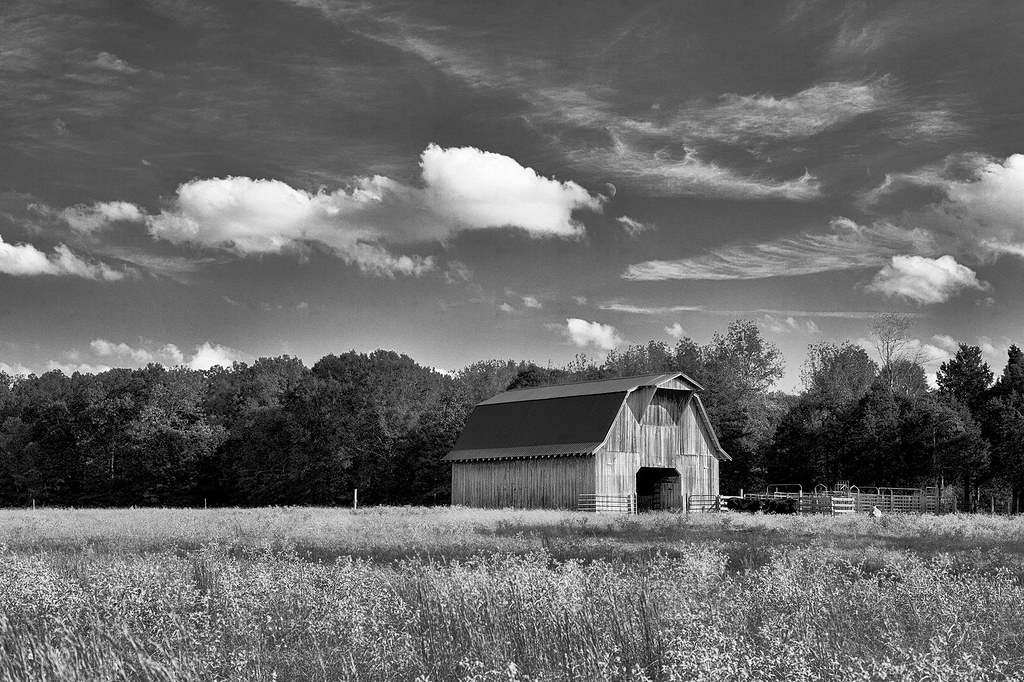 Same barn ~ different viewpoint
