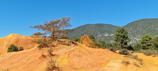 Les Ocres de Rustrel (Colorado provençal)