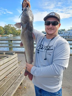Man on a dock holding a large catfish