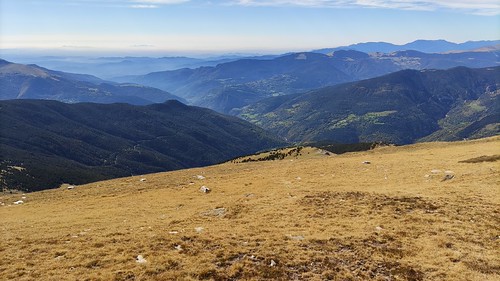 IMG_20211012_124946