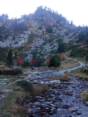 IMG-20211017-WA0211