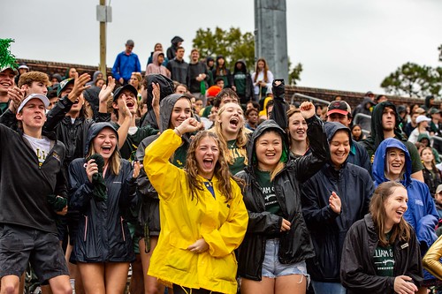 Fans cheer on the Tribe as W&M takes on Albany during the Homecoming game.