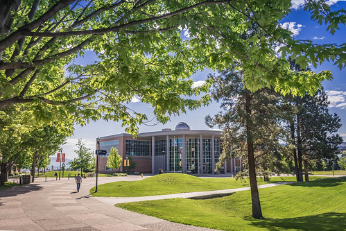 Campus Commons looking toward International Building