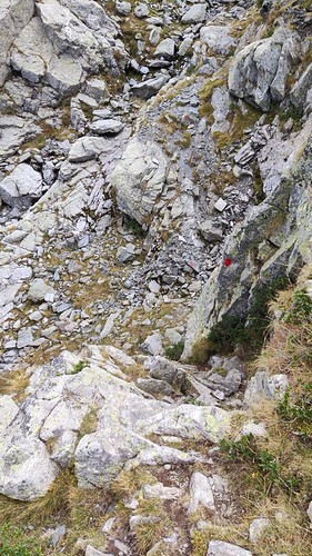 IMG_20211012_111113
