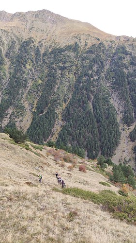 IMG_20211017_092100