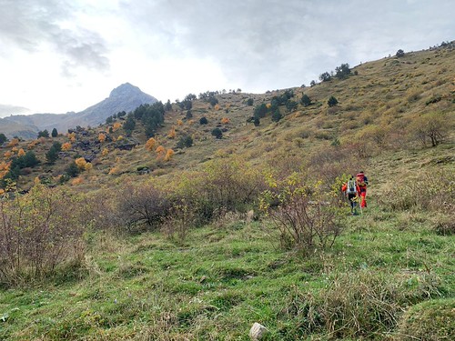 IMG-20211017-WA0166