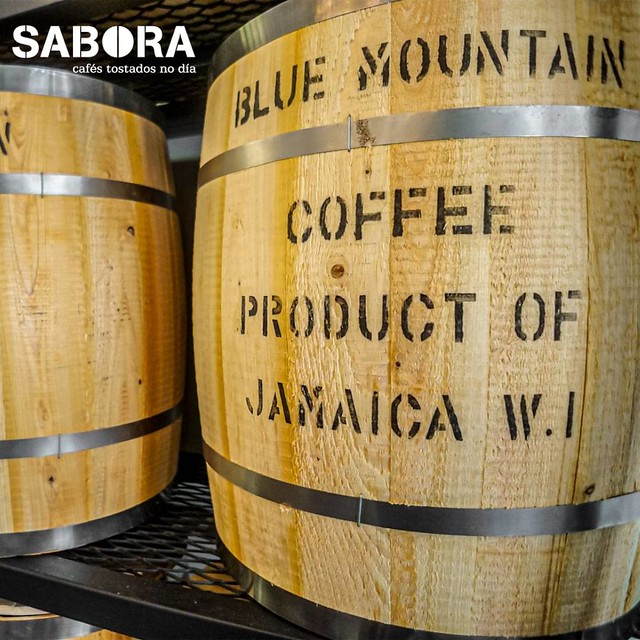 Blue Mountain cafe de Jamaica en barril
